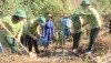 Huyện Tuần Giáo tổ chức Lễ phát động “Tết trồng cây đời đời nhớ ơn Bác Hồ” và ra quân chăm sóc, đào hố trồng cây Mắc ca năm 2024