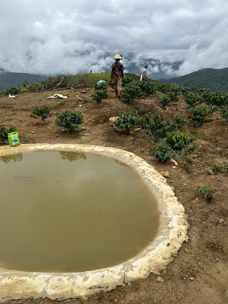 Các hộ dân bản Cá đã thực hiện đào hố, xây bể trên các nương cao để trữ nước, đảm bảo nguồn nước tưới cho cây mắc ca và cây cà phê.